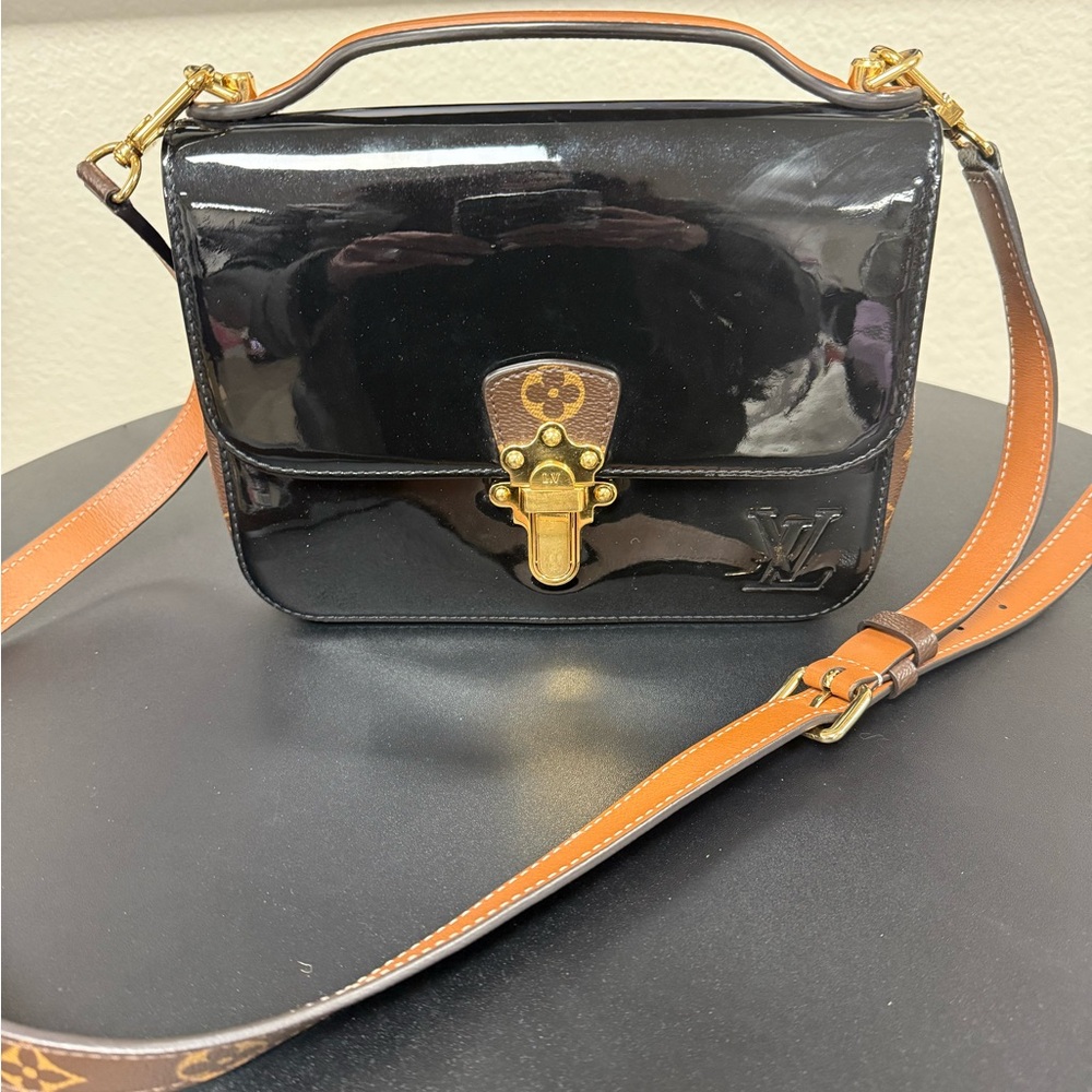 Louis Vuitton vet is 2-way bag